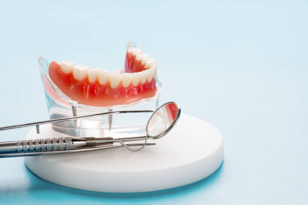 Best Preventive Dentistry  in Vance, AL